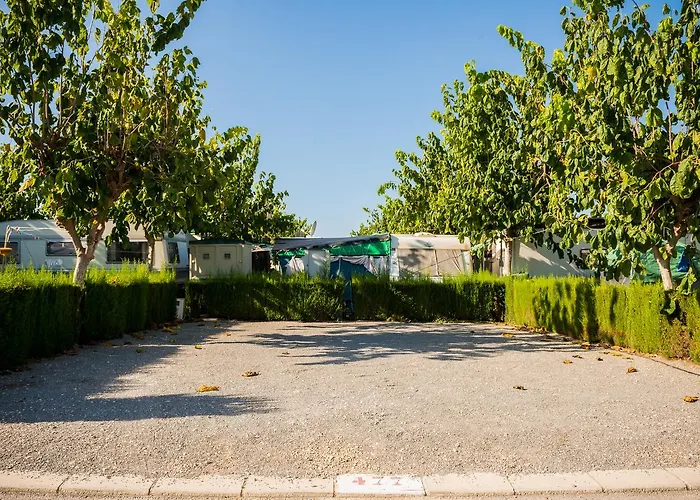 Camping Raco 3* Benidorm