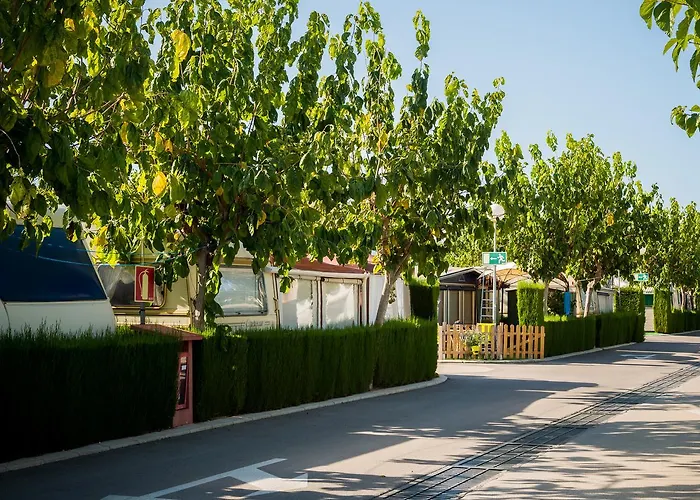 Camping Camping Raco Benidorm